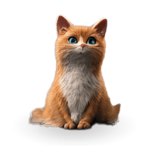 Login cat